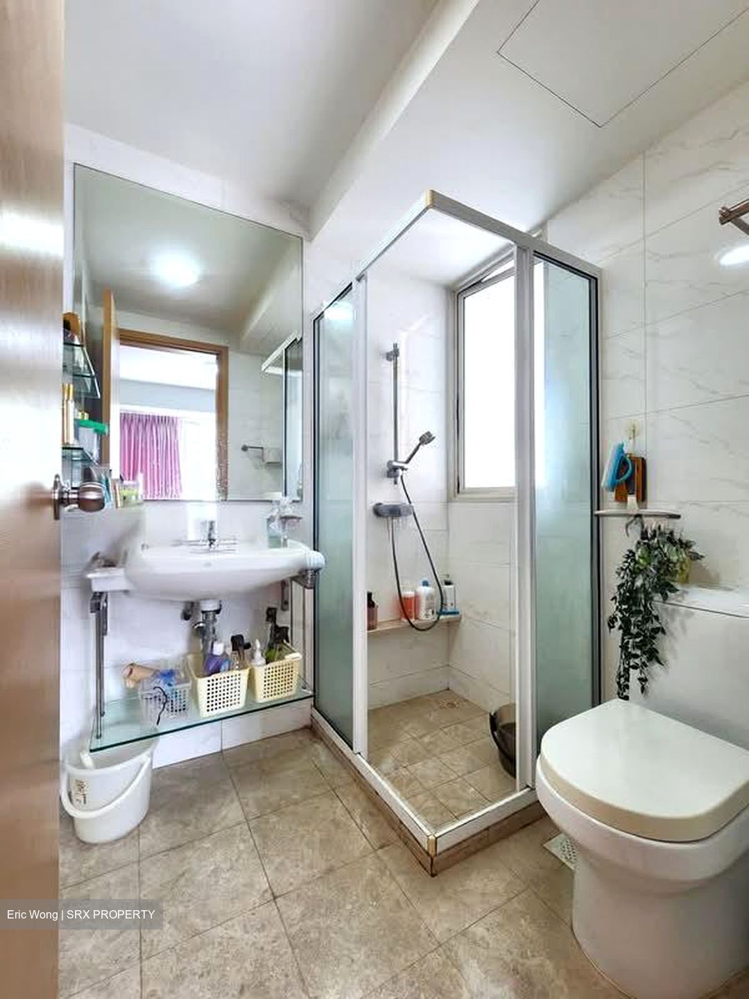 D'Lotus (D12), Apartment #546234911